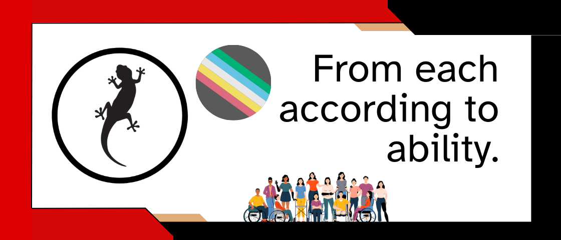 Media picture: Disability Activism Society