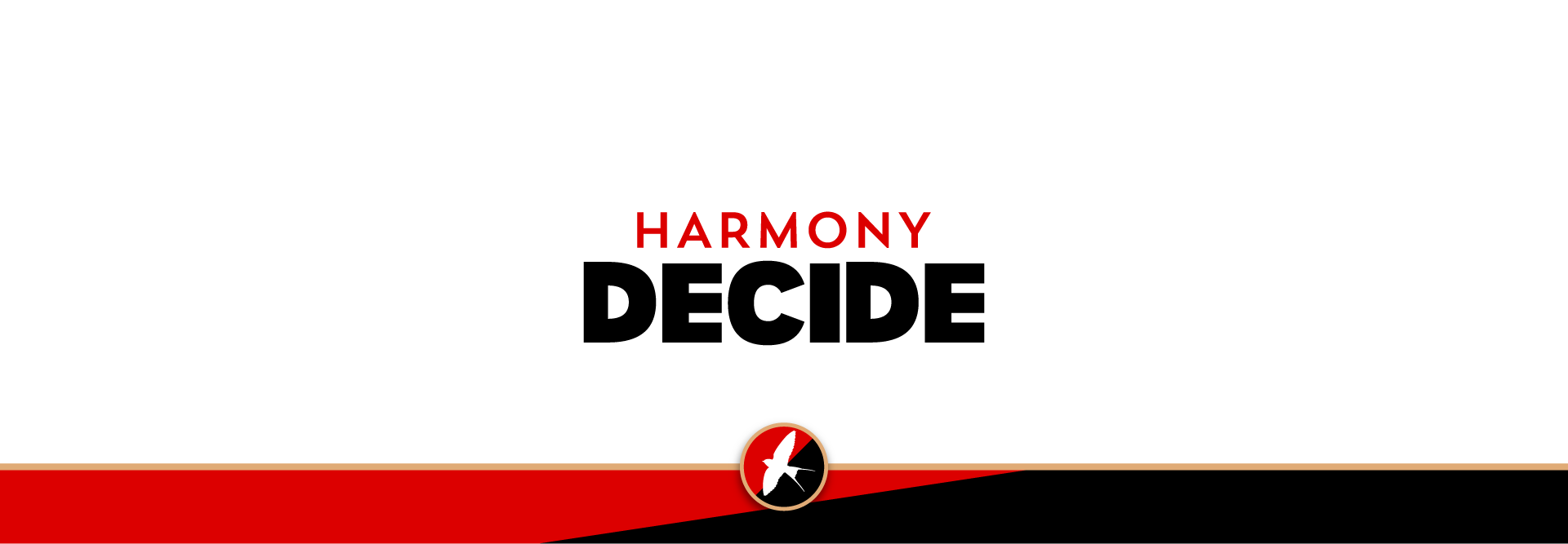 Media picture: Decidim Development